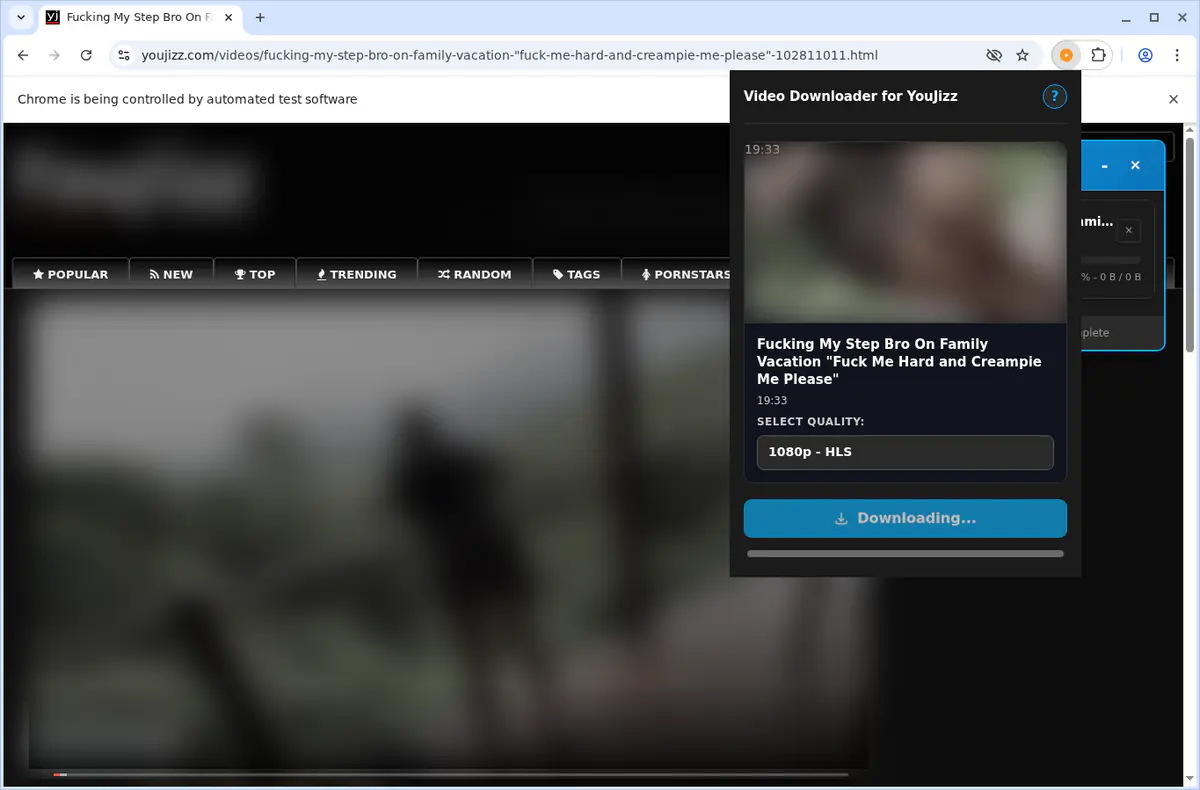Youjizz Video Downloader screenshot 3