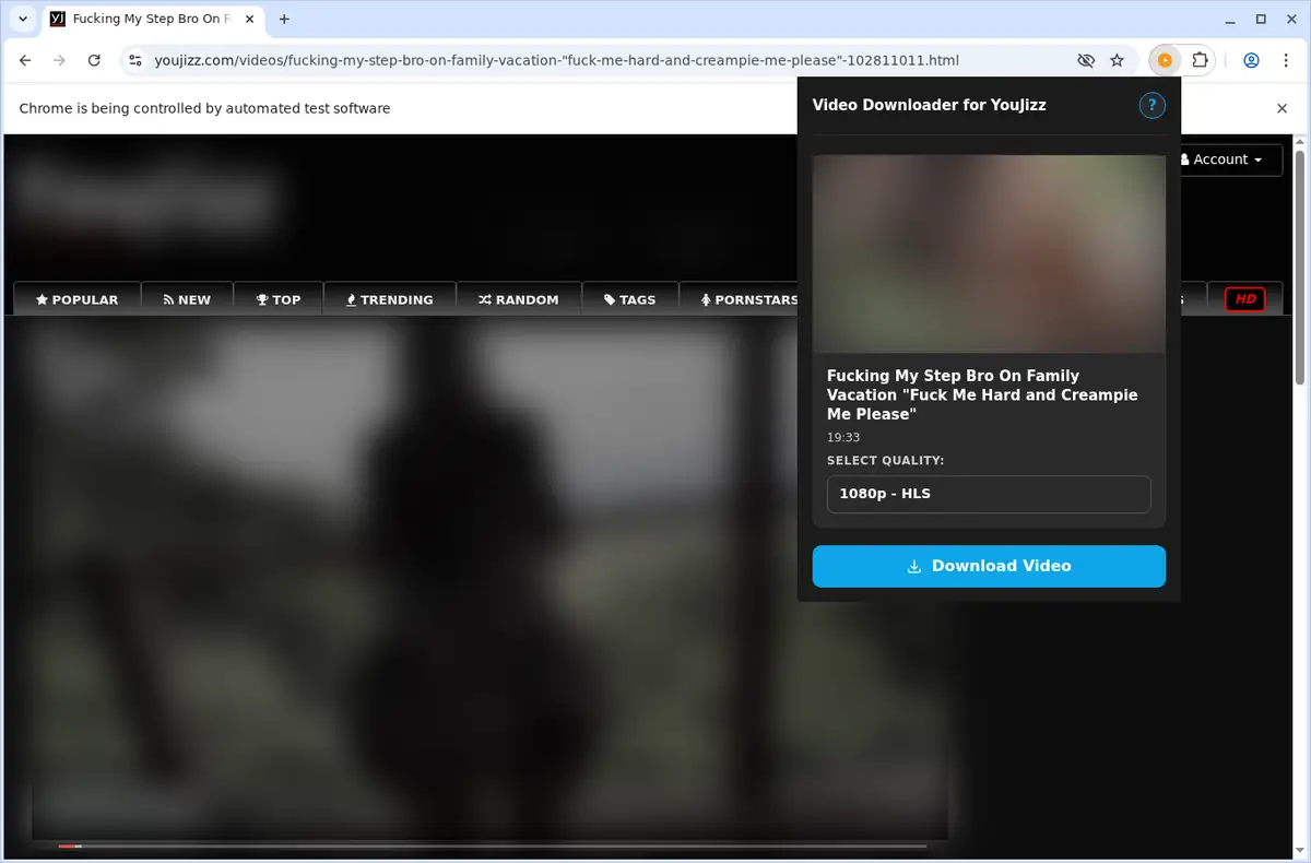 Youjizz Video Downloader screenshot 4